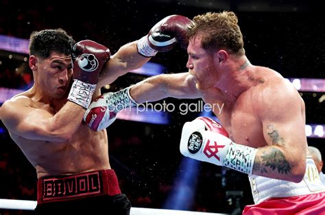 canelo fight may 2022.